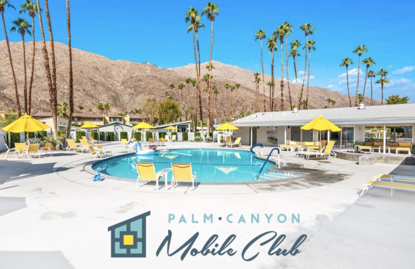 Palm Canyon